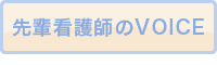 先輩看護師のVOICE